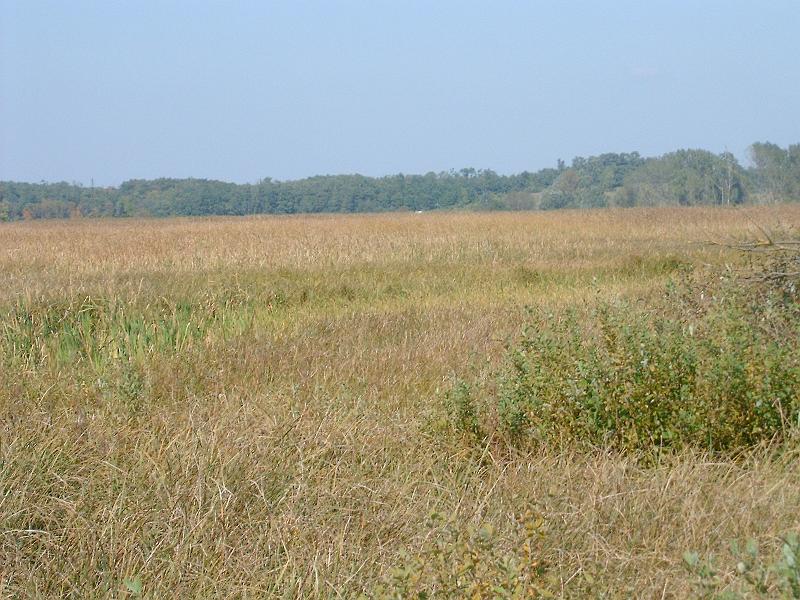 2010.10.09. 102.jpg